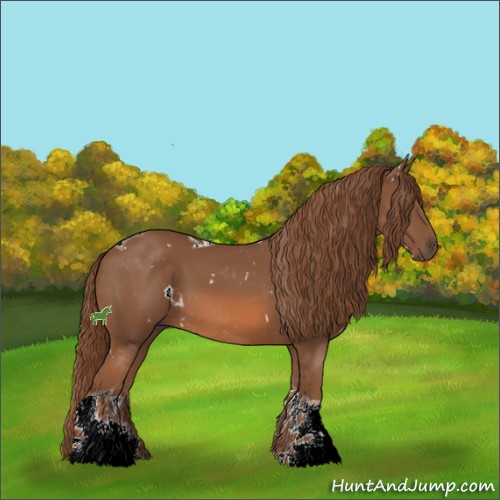 Horse Color:White Spotted Chestnut Tobiano