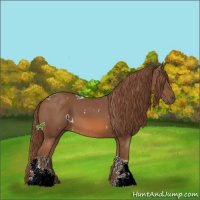 Horse Color:White Spotted Chestnut Tobiano 