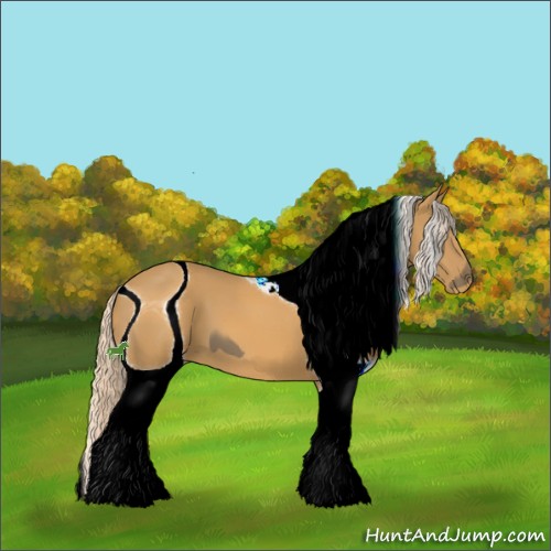 Horse Color:ERROR: UNKNOWN ANOMALY
