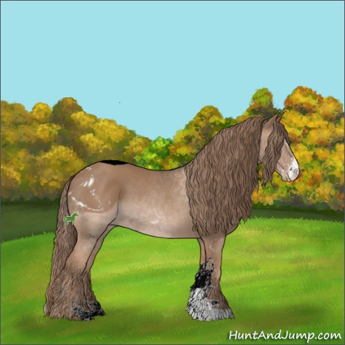 Horse Color:ERROR: UNKNOWN ANOMALY