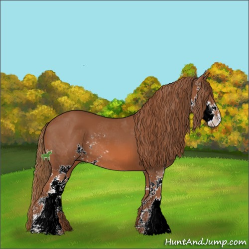 Horse Color:Chestnut Sabino