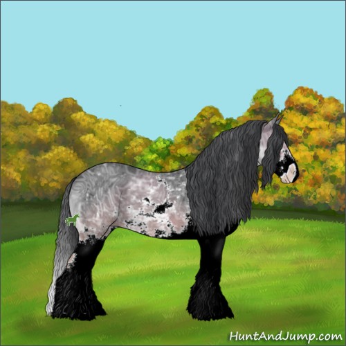 Horse Color:ERROR: UNKNOWN ANOMALY