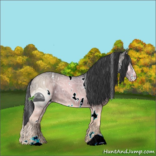 Horse Color:ERROR: UNKNOWN ANOMALY