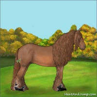Horse Color:Chestnut Sabino 