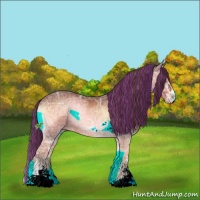 Horse Color:Painted Chocolate Bay Ice Onyx Sabino 