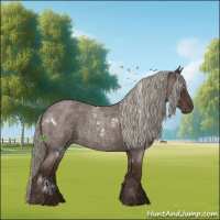Horse Color:White Spotted Liver Red Roan 