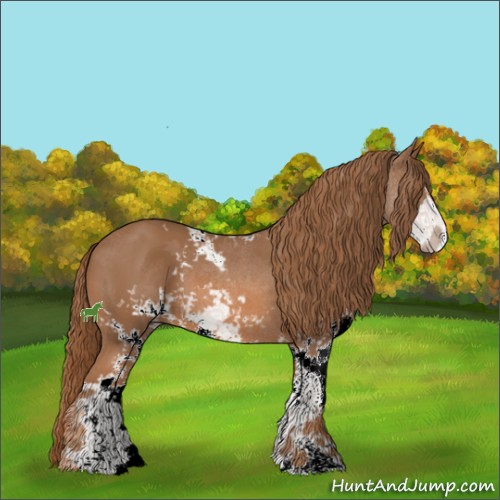Horse Color:Chestnut Sabino