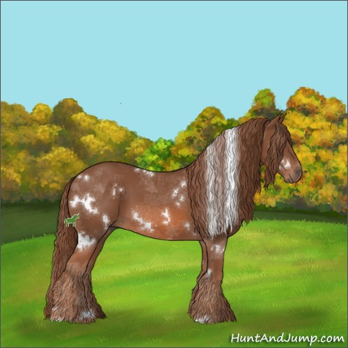Horse Color:White Spotted Chestnut