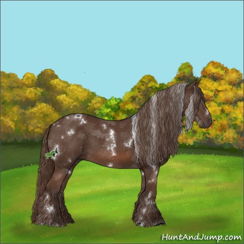 Horse Color:White Spotted Liver Chestnut