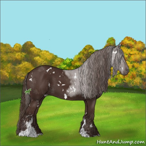 Horse Color:White Spotted Liver Chestnut Sabino