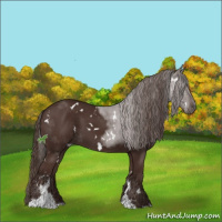 Horse Color:White Spotted Liver Chestnut Sabino 