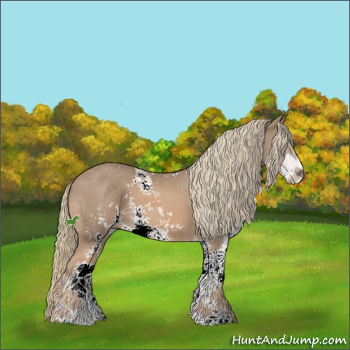 Horse Color:Chestnut Mushroom Sabino