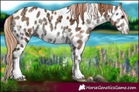 Horse Color:Blue Onyx Ice Pearl Leopard 