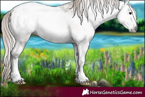 Horse Color:Gray Blue Onyx Ice Pearl Tobiano Blanket