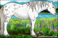 Horse Color:Gray Silver Blue Onyx Ice Pearl Tobiano Appaloosa