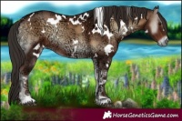 Horse Color:White Spotted Liver Red Onyx Ice 