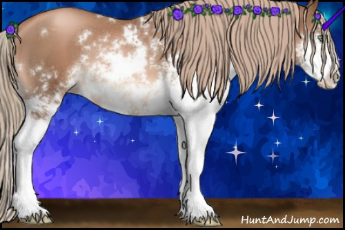 Horse Color:Liver Chestnut Pearl Sabino 