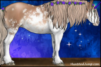 Horse Color:Liver Chestnut Pearl Sabino 