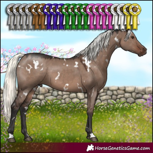 Horse Color:White Spotted Liver Red Dun Mushroom