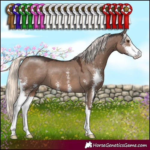 Horse Color:Liver Red Dun Mushroom Sabino 
