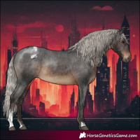 Horse Color:Gray Silver Brown Sabino Appaloosa Rabicano