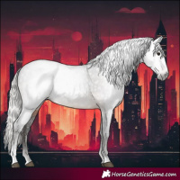 Horse Color:Gray Silver Brown Sabino Appaloosa Rabicano