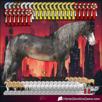 Horse Color:Black Sabino Rabicano and Gray Silver Brown Sabino Appaloosa Rabicano