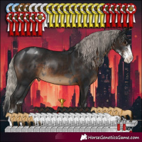 Horse Color:Black Sabino Rabicano  and Gray Silver Brown Sabino Varnish Rabicano 
