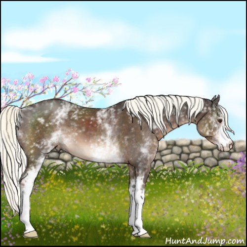 Horse Color:White Spotted Liver Chestnut Mushroom 