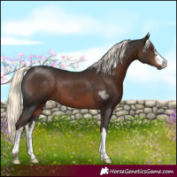 Horse Color:White Spotted Liver Chestnut Mushroom 