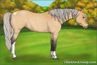 Horse Color:Silver Buckskin Roan Tobiano 