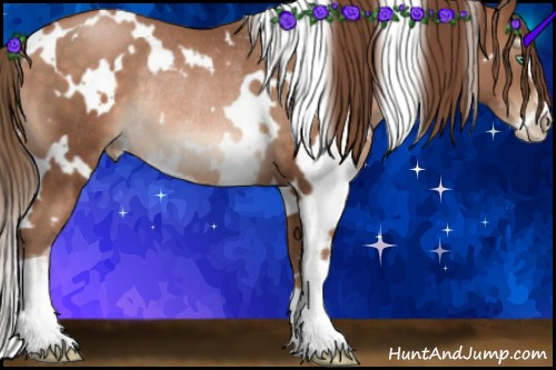 Horse Color:White Spotted Brown Pearl Sabino Rabicano 