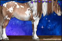 Horse Color:White Spotted Brown Pearl Sabino Rabicano