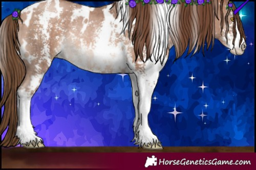 Horse Color:White Spotted Brown Pearl Sabino Rabicano 