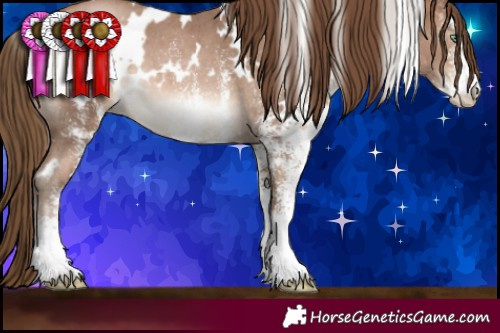 Horse Color:White Spotted Brown Pearl Rabicano 