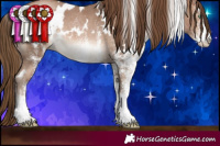 Horse Color:White Spotted Brown Pearl Rabicano
