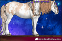 Horse Color:White Spotted Gold Champagne Pearl Sabino Splash