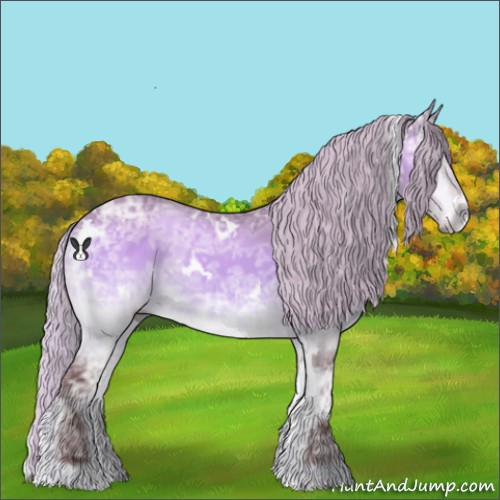 Horse Color:White Spotted Chocolate Silver Brown Chinchilla Ice Onyx Sabino 