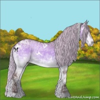 Horse Color:White Spotted Chocolate Silver Brown Chinchilla Ice Onyx Sabino 