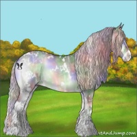 Horse Color:Nacre White Spotted Silver Blue Onyx Chinchilla Ice Sabino 