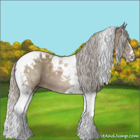Horse Color:Silver Grullo Tobiano 