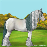Horse Color:Watercolor Classic Champagne Dun Tobiano Rabicano 