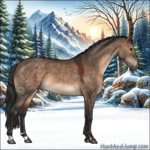 Horse Color:Brown Dun Sabino 