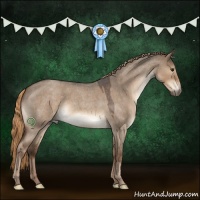 Horse Color:Liver Red Dun Roan 