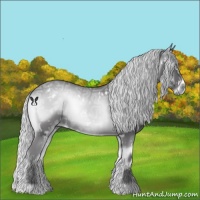 Horse Color:White Spotted Silver Smoky Blue Onyx Chinchilla Ice 