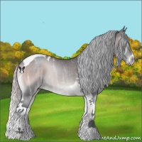 Horse Color:Silver Blue Onyx Chinchilla Ice Tobiano 