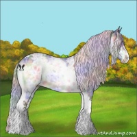 Horse Color:Nacre Silver Bay Chinchilla Ice Tobiano 
