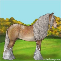 Horse Color:Silver Buckskin Tobiano Rabicano 