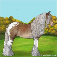 Horse Color:Silver Buckskin Tobiano 