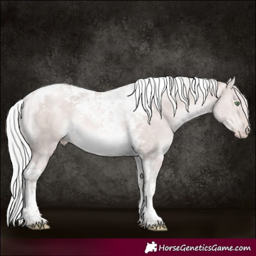 Horse Color:Platinum Silver Sable Champagne Dun Tobiano Rabicano